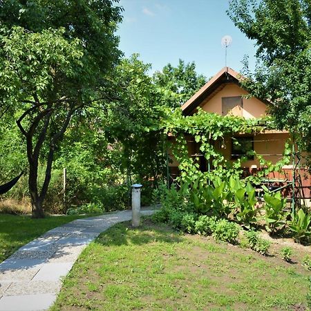 Apartament Vinarstvi Koliba Cejkovice  Zewnętrze zdjęcie