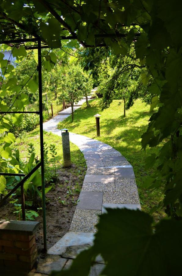 Apartament Vinarstvi Koliba Cejkovice  Zewnętrze zdjęcie