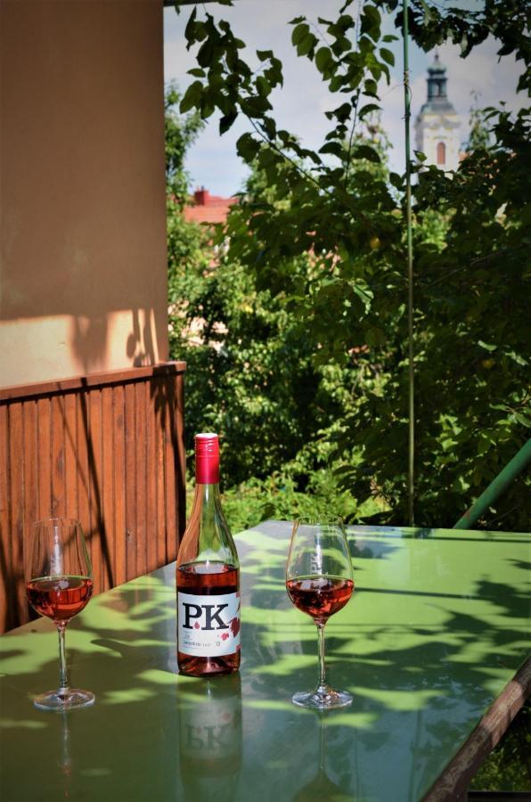 Apartament Vinarstvi Koliba Cejkovice  Zewnętrze zdjęcie