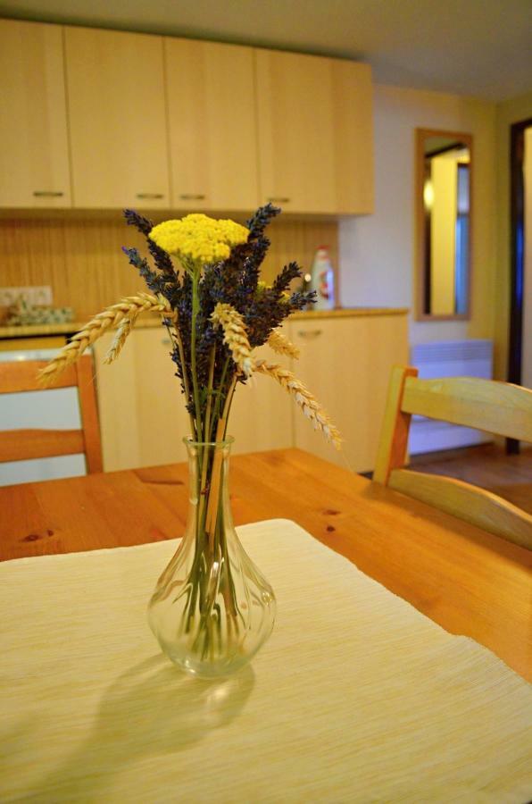 Apartament Vinarstvi Koliba Cejkovice  Zewnętrze zdjęcie